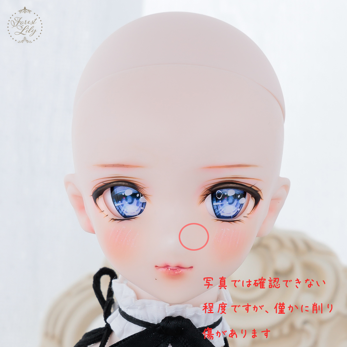 Forest Lily】○難あり○DDH-09 SW肌 カスタムヘッド デカールアイ1種