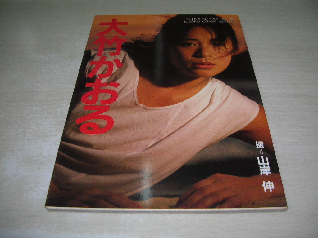 O☆厳選ご奉仕☆格安☆万能の石【魅惑の『庭園水晶』MIXガーデン O☆厳選ご奉仕☆格安☆万能の石【魅惑の『庭園水晶』MIXガーデン