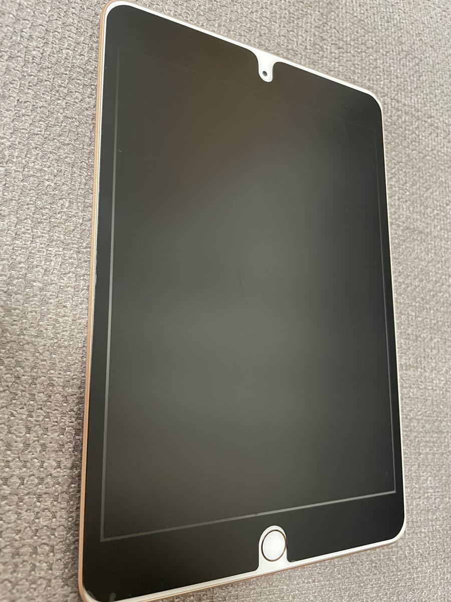 iPad mini5 256GB Wi-Fi Cellular SIMフリー ゴールド www.pa