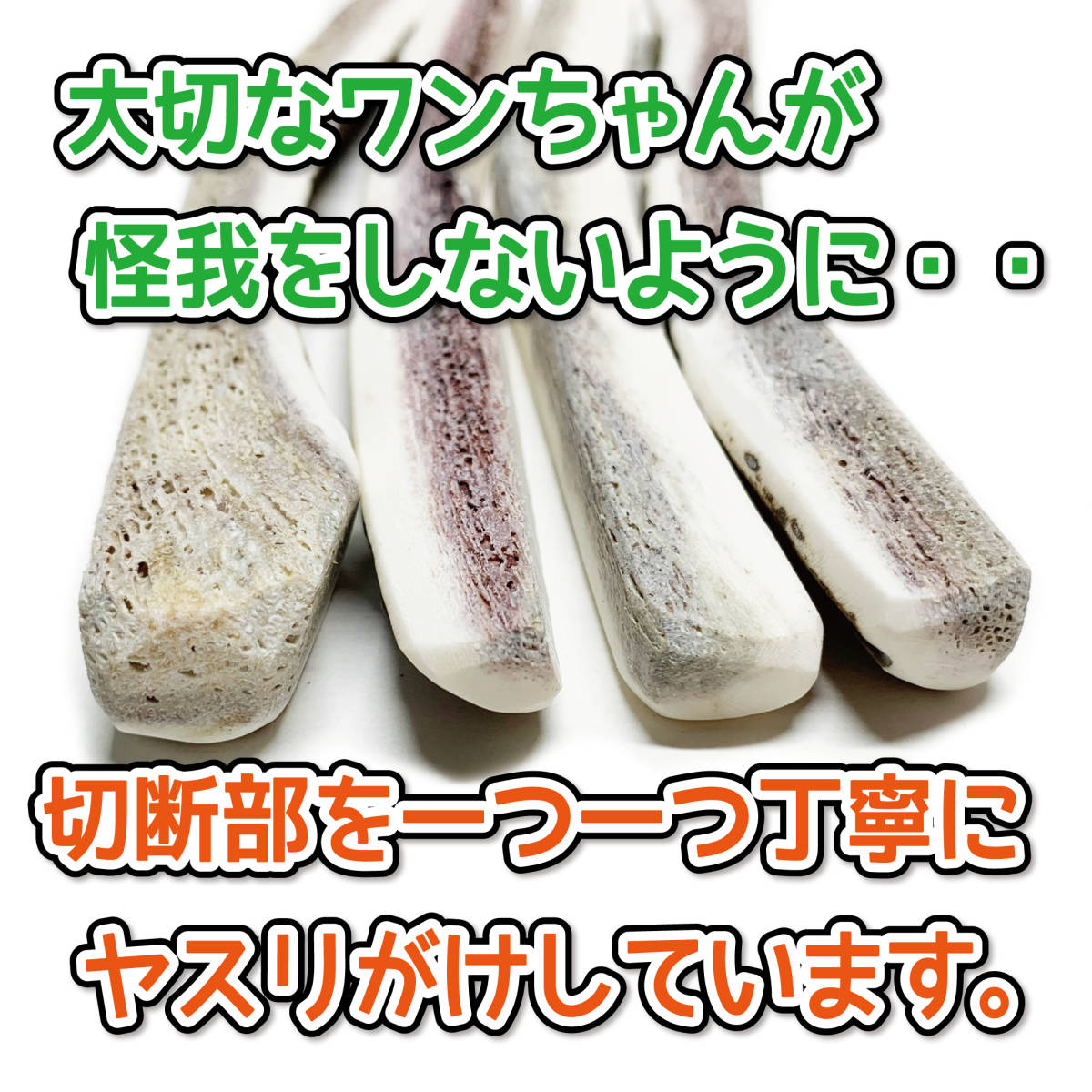 2021最新作】 現物発送 小型犬用 4半割りロング 2本セット 天然 北海道産 蝦夷鹿の角 犬のおもちゃ ご褒美に 無添加 エゾシカノツノ 8322 lacistitis.es 2021最新作】 現物発送 小型犬用 4半割りロング 2本セット 天然 北海道産 蝦夷鹿の角 犬のおもちゃ ご褒美に 無添加 エゾシカノツノ 8322 lacistitis.es