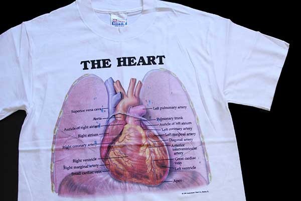 デッドストック★90s Hanes Anatomical Chart Co. THE HEART 人体 臓器 心臓 コットンTシャツ 白 S★オールド ビンテージ 内蔵 解剖図_画像1