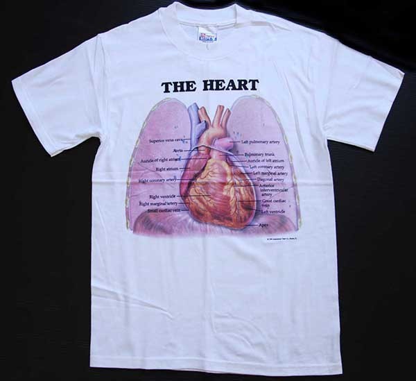 デッドストック★90s Hanes Anatomical Chart Co. THE HEART 人体 臓器 心臓 コットンTシャツ 白 S★オールド ビンテージ 内蔵 解剖図_画像2