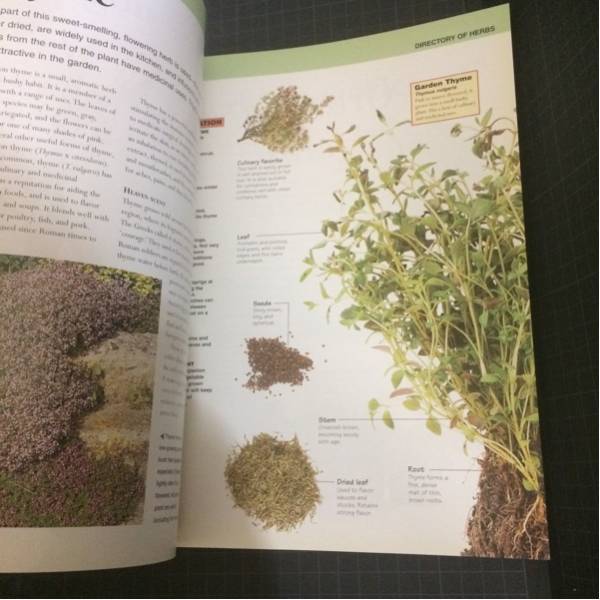 The Book of Herbs ハーブ英語本_画像3
