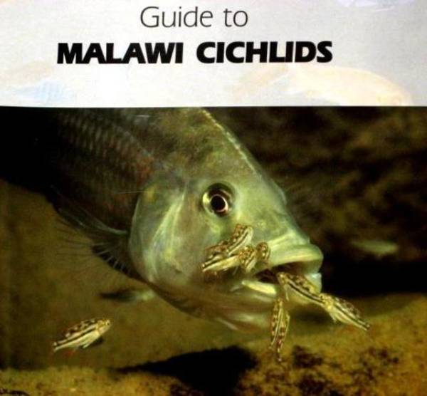 マラウイ シクリッド ガイド 自然図鑑 2 洋書 Guide to Malawi Cichlids Back to Nature 2nd Edition Ad Konings アフリカンシクリッド