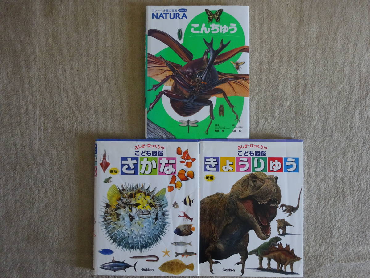 77%以上節約 図鑑3冊 こんちゅう さかな きょうりゅう フレーベル館