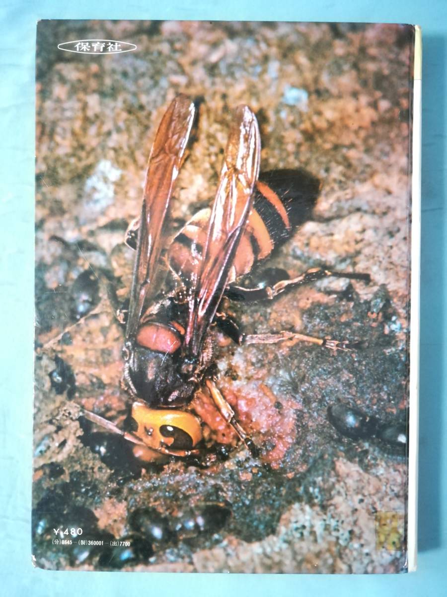 学習 昆虫図鑑 保育社 昭和47年_画像2