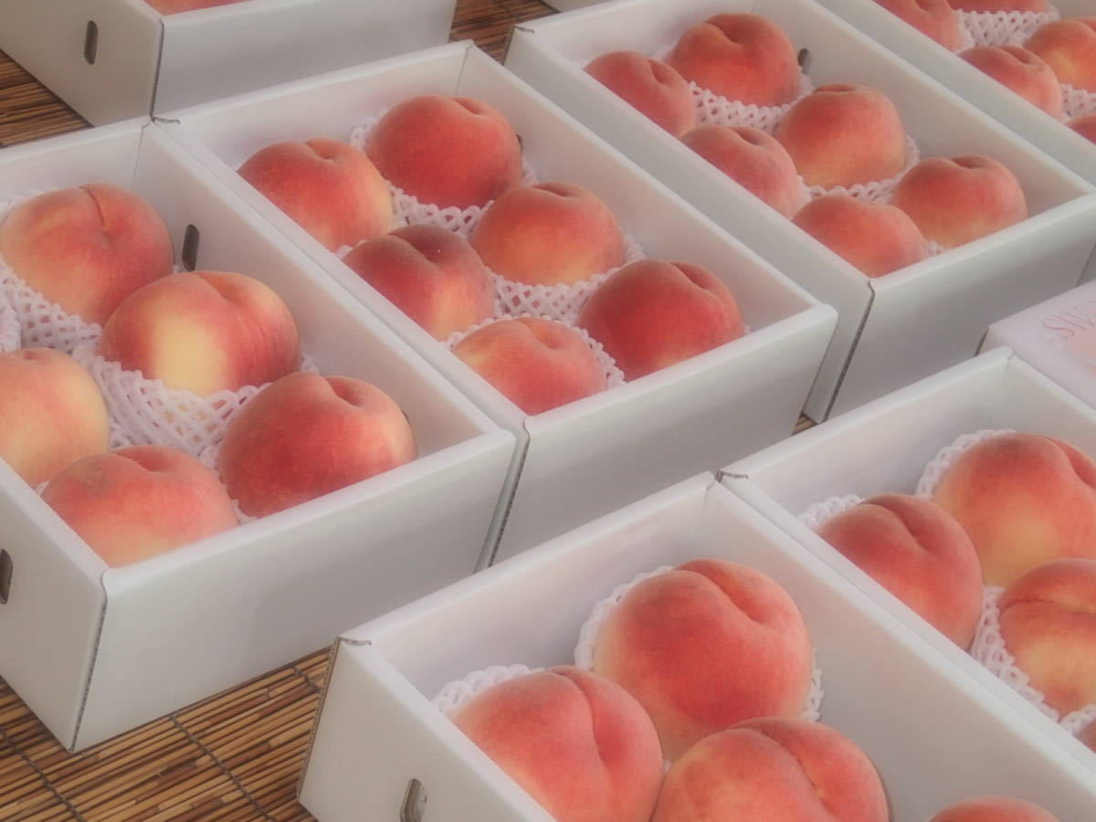 山梨の甘い桃　特大を２キロ箱に６個つめて直ぐに発送　今年は料金据え置きお買い得　ももやのきよし_画像1