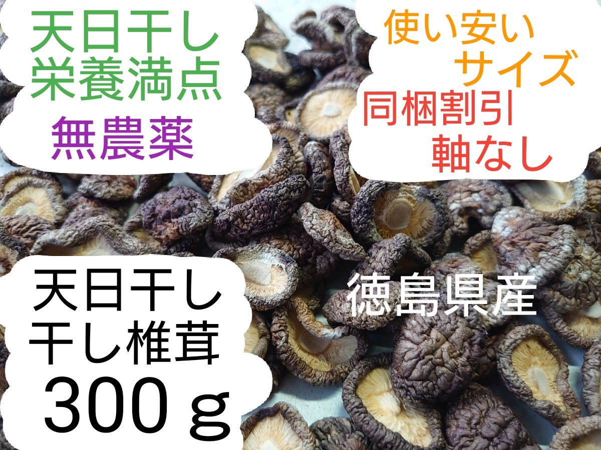 ②【天日干し】 干し椎茸 200g(100g×2袋) 徳島県産 軸なし 無農薬