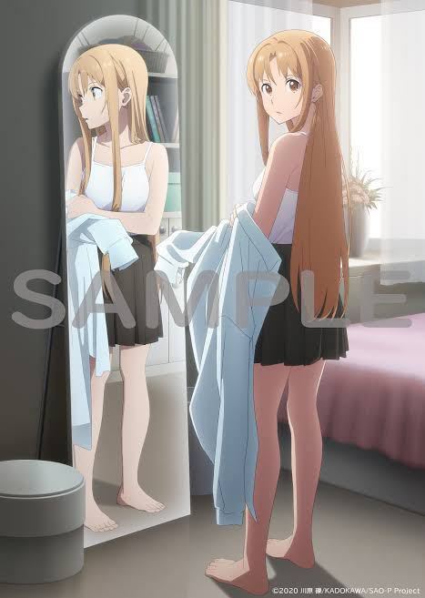劇場版 ソードアート -プログレッシブ- B2 BD DVD SAO アスナ アニメガ 福袋 SAO 星なき夜のアリア 限定タペストリー キャラクターグッズ