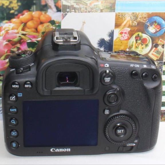 予備バッテリー付Canon EOS 7D Mark II トリプルズーム