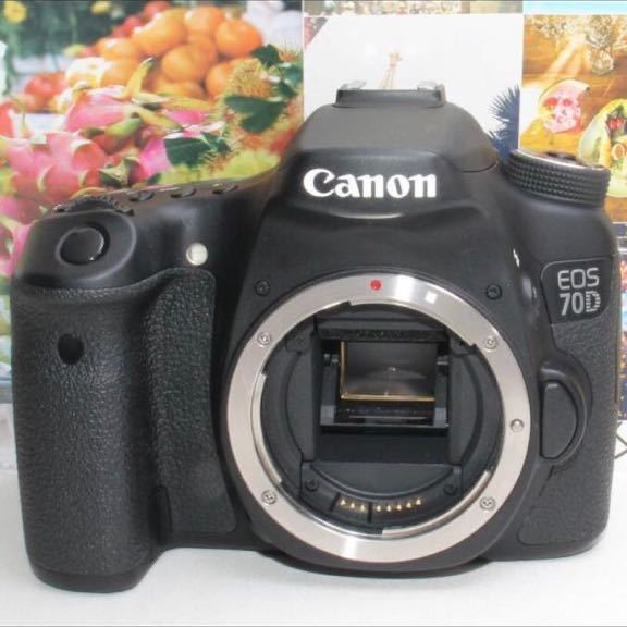 予備バッテリー付きCanon EOS 70D 超望遠ダブルレンズ | contifarma.pe