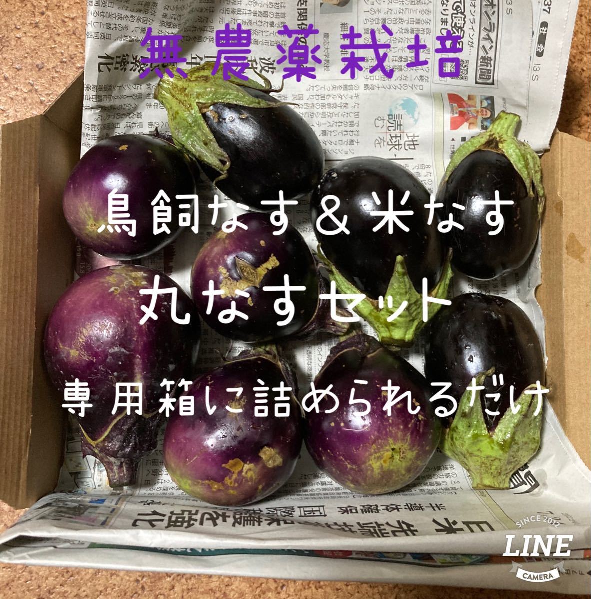 【鳥飼茄子&米茄子】無農薬栽培の丸茄子の詰め合わせ　専用箱に詰められるだけ