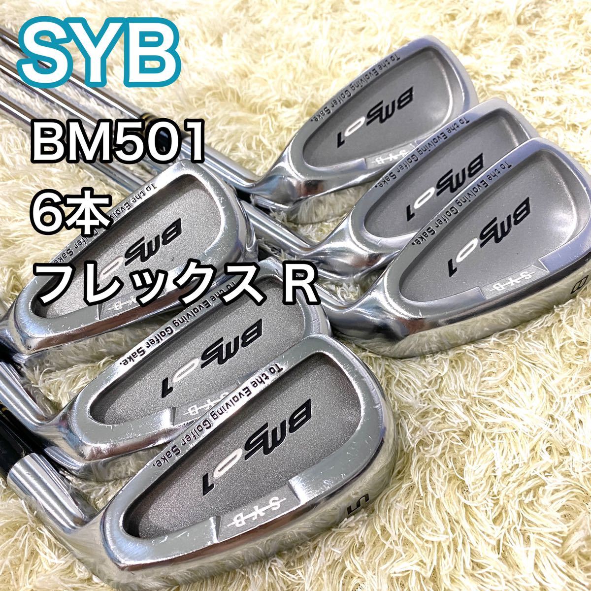 SYB サイブ BM501 アイアン 6本 フレックス R ゴルフクラブ ゴルフ 