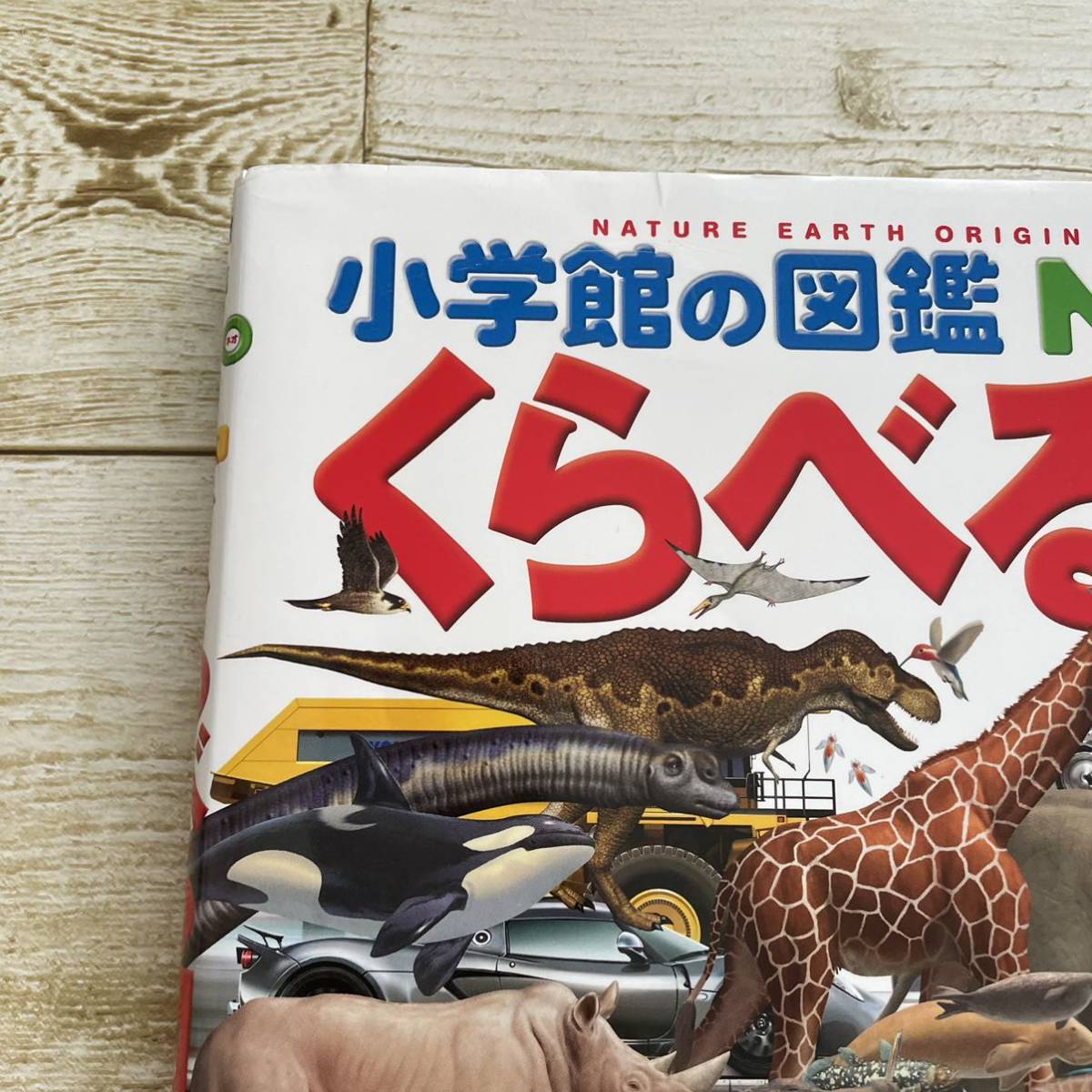 送料無料 小学館の図鑑 NEO+ くらべる図鑑 新版 特大ポスター 送料無料 小学館の図鑑 NEO+ くらべる図鑑 新版 特大ポスター