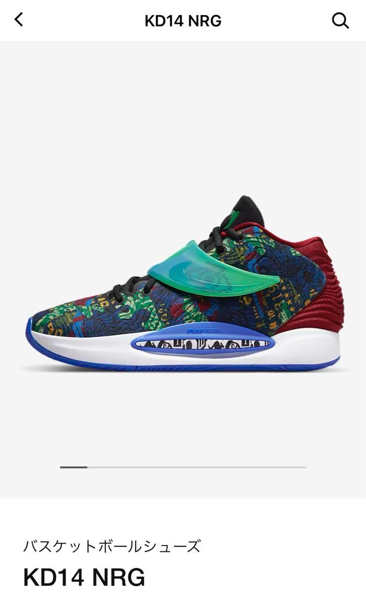 専用出品 ナイキNIKE KD14 EP CZ0170【新品26.5cm】 スポーツ