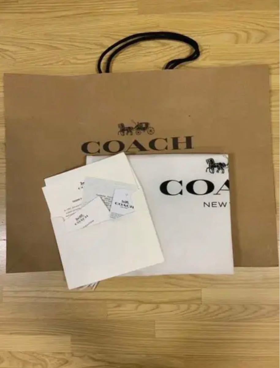 コーチ COACH×Disney コラボ ミッキーマウス Rogue 25 C6166 超希少品 激レア 新品未使用品 数量限定