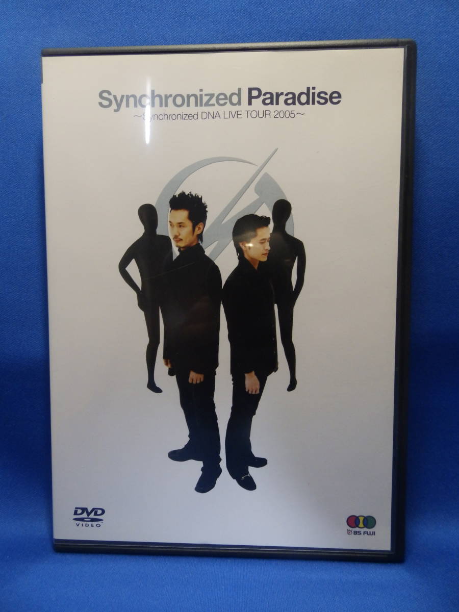 美品 DVD Synchronized Paradise Synchronized DNA LIVE TOUR 2005 神保彰 則竹裕之 CASIOPEA T-SQUARE 珍しい 送料込み_画像1