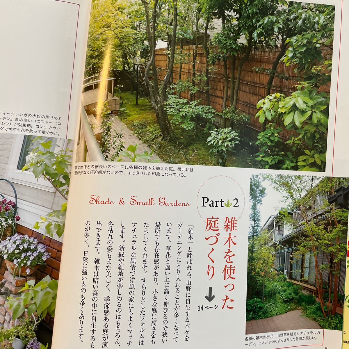 Paypayフリマ 日陰や狭い場所での小さな庭づくり 主婦の友生活シリーズ どこでもできる簡単ガーデニング 小さな庭 コンテナガーデン ガーデニング Paypayフリマ 日陰や狭い場所での小さな庭づくり 主婦の友生活シリーズ どこでもできる簡単ガーデニング 小さな庭 コンテナガーデン ガーデニング