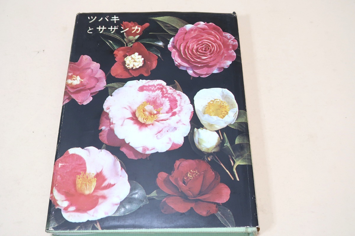 ツバキとサザンカ/中村恒雄/声を大にして江戸時代から伝わる400余種のツバキの美しい花の愛好をこの本を通して強調したいのです/図版豊富_画像1