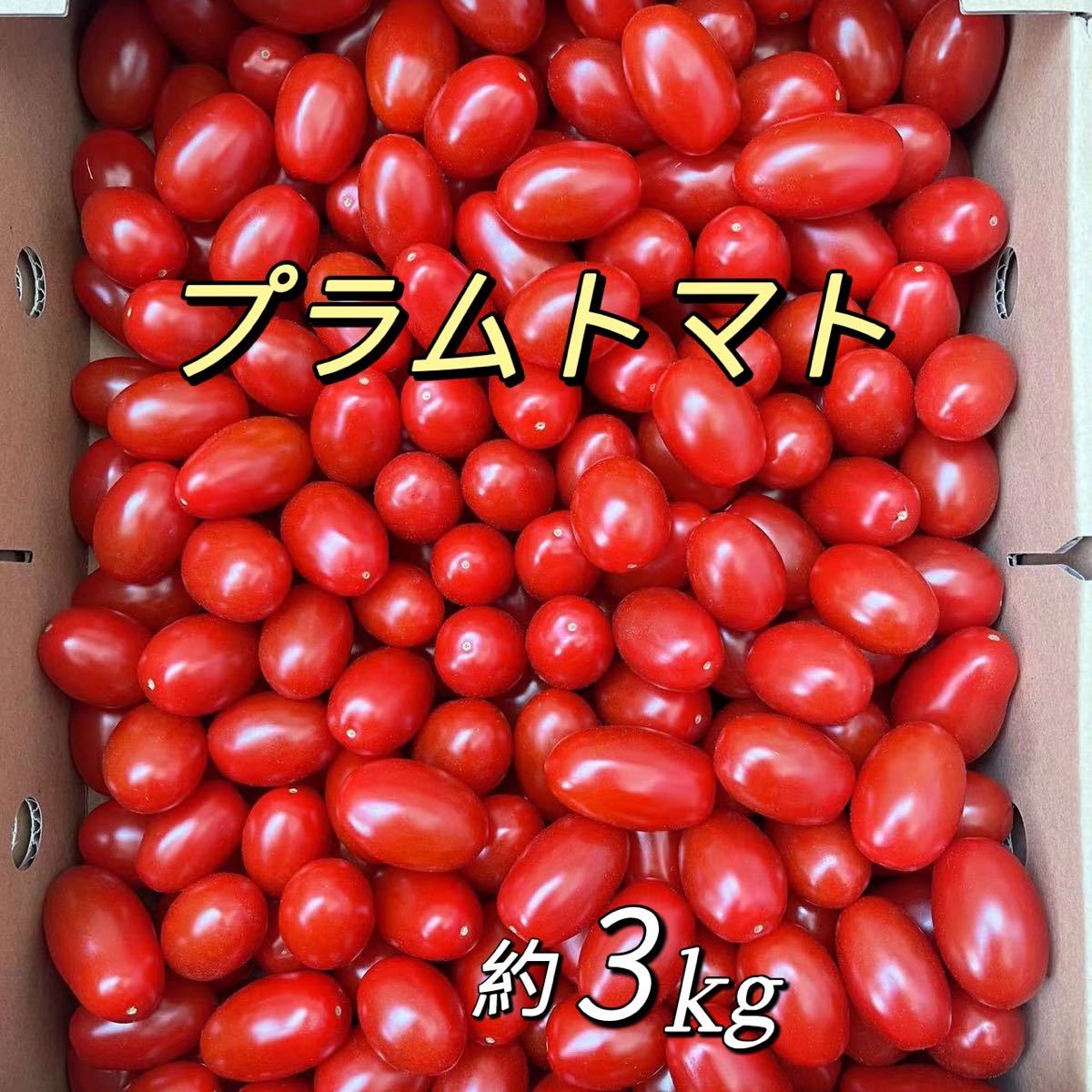 プラムトマト　3kg_画像1