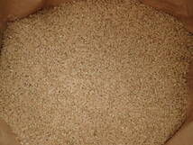 お米 10kg 新米 ヒノヒカリ 送料無料 玄米 白米 一等米 令和3年産 広島県産　ご好評　残りわずかです。_玄米