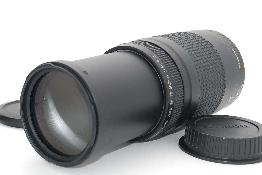 望遠レンズ キヤノン 大迫力300㎜ Canon EF75-300｜PayPayフリマ