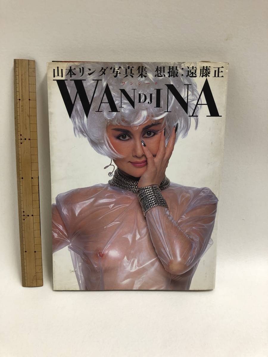 山本リンダ/写真集/wanjina/1993/（画像参考）/USED品_画像1