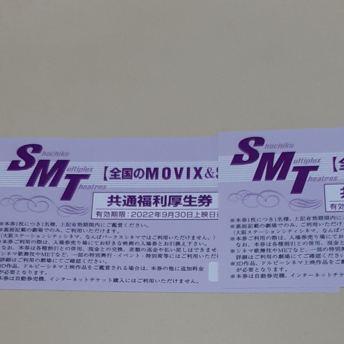 全国のMOVIX &SMT直営映画館 共通福利厚生券2枚セット - その他
