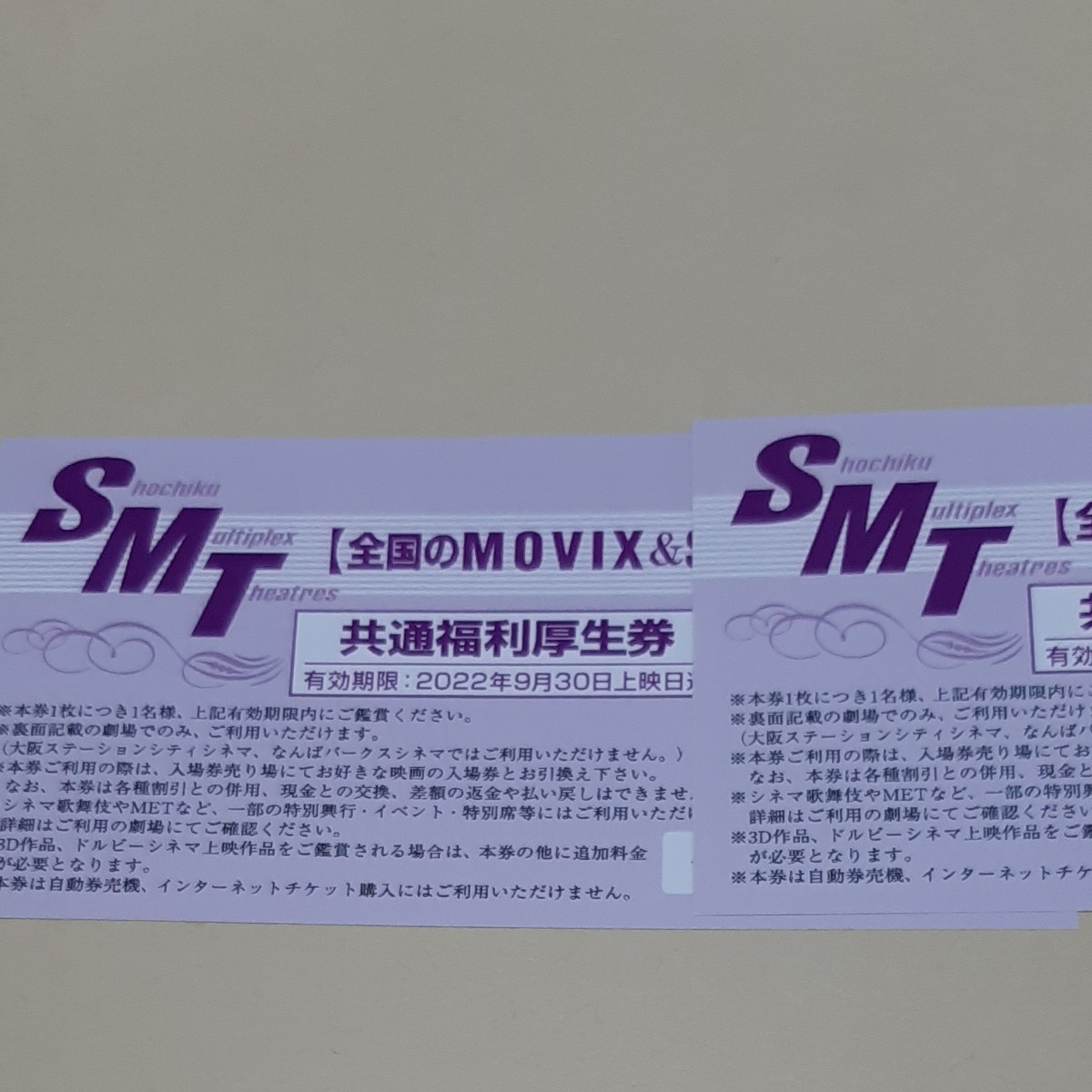 沸騰ブラドン 全国のMOVIXSMT直営映画館 共通福利厚生券 ２枚 en