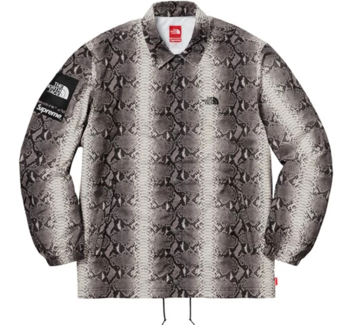 M Supreme The North Face Snakeskin Taped Seam Coaches Jacket シュプリーム ノースフェイス コーチジャケット 黒 ヘビ スネーク 蛇