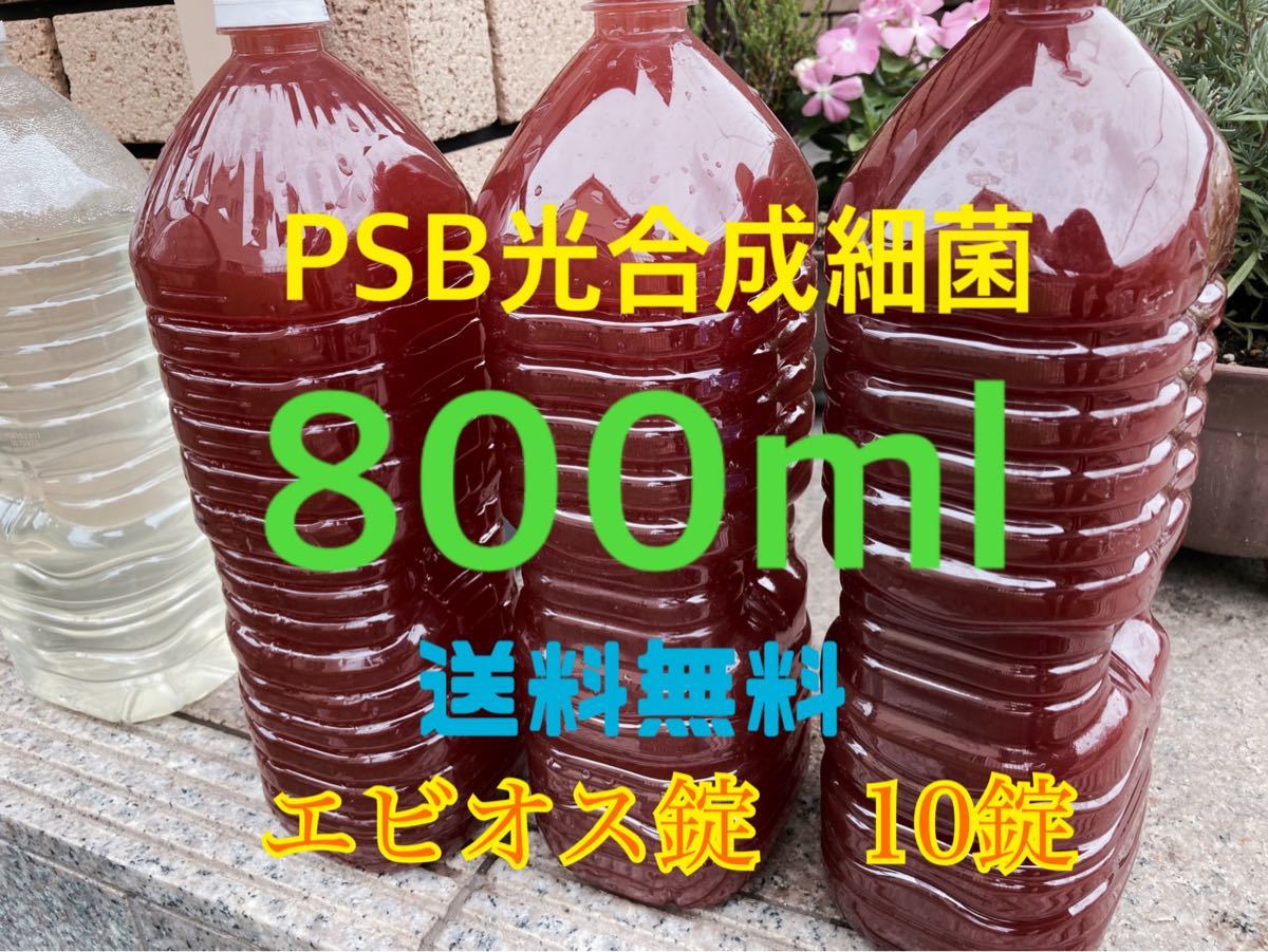 PayPayフリマ｜PSB 光合成細菌 培養液 800ml エビオス錠10錠