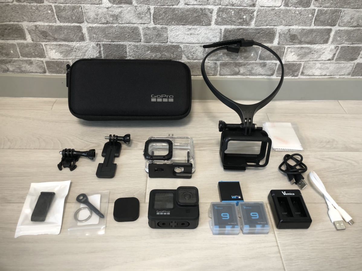 GoPro HERO9 セット【美品】 zubairfurnishing.com