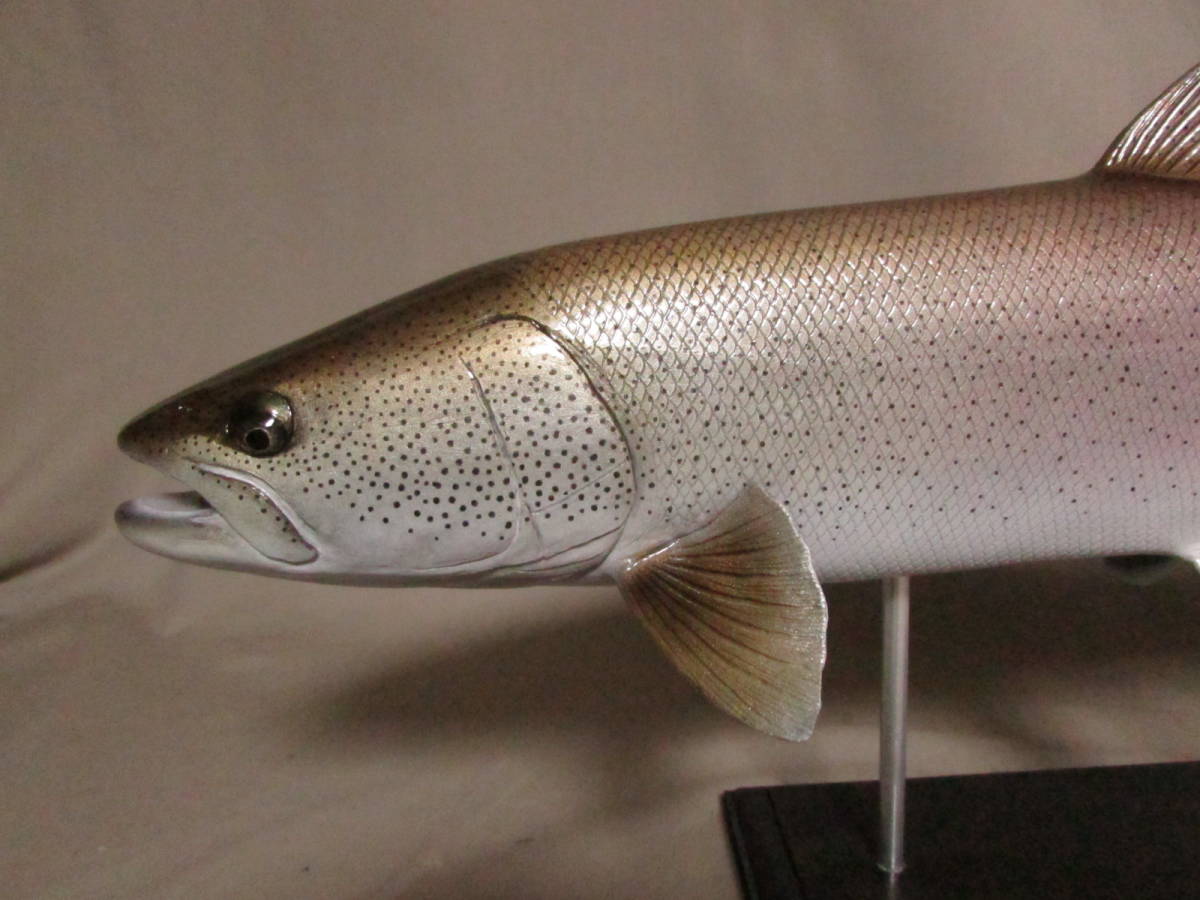 WEB限定】 怪魚 ハンドメイド 自作 46cmイトウ 怪魚 釣り