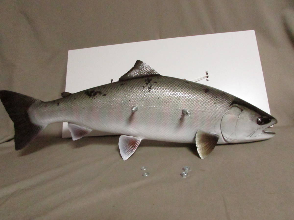 ○ハンドメイド 手作り 64cmサクラマス 桜鱒 壁掛け 魚模型 ○ハンドメイド 手作り 64cmサクラマス 桜鱒 壁掛け 魚模型