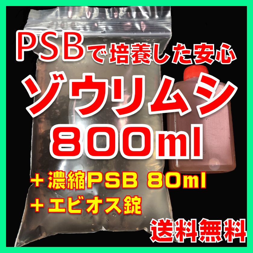 ★送料無料★PSBで培養したゾウリムシ種水800ml＋濃縮PSB80ml＋エビオス30錠＋培養説明書　メダカの針子、稚魚、幼魚、越冬中にも安心。_PSBで培養した安心ゾウリムシ