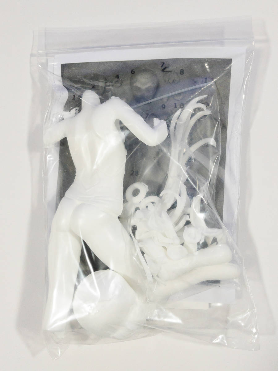 ワンフェス WF2022夏 コブラ会 Y乙J ヌルティ ガレージキット みさお。 よりどいろどり WF2022S 2
