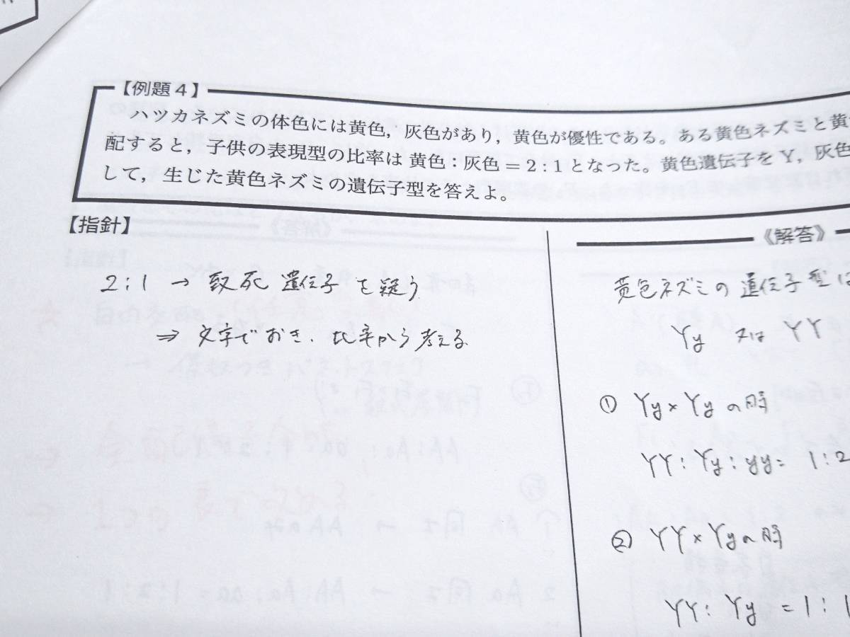最新版 鉄緑会 遺伝計算基本問題 遺伝計算トレーニング 上位 最新版 鉄緑会 遺伝計算基本問題 遺伝計算トレーニング 上位