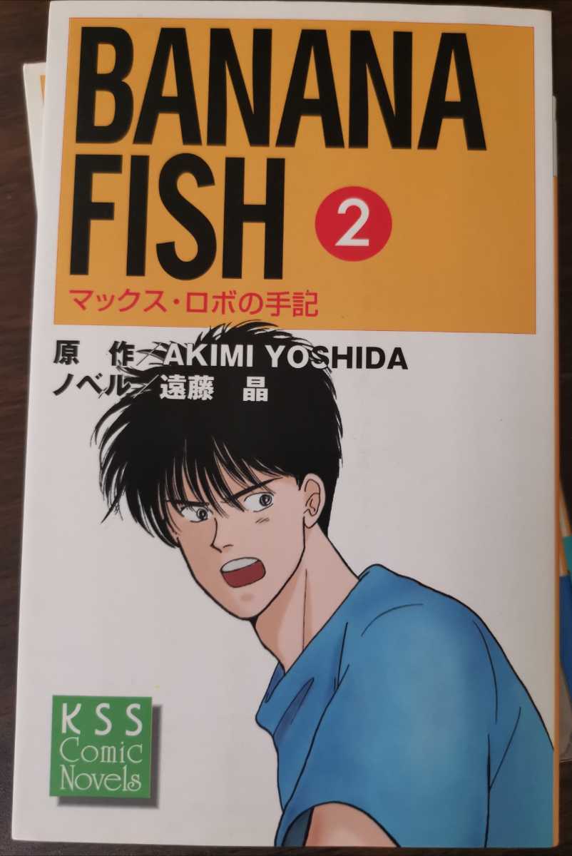 バナナフィッシュ BANANA FISH マックス・ロボの手記 全巻セット バナナフィッシュ BANANA FISH マックス・ロボの手記 全巻セット