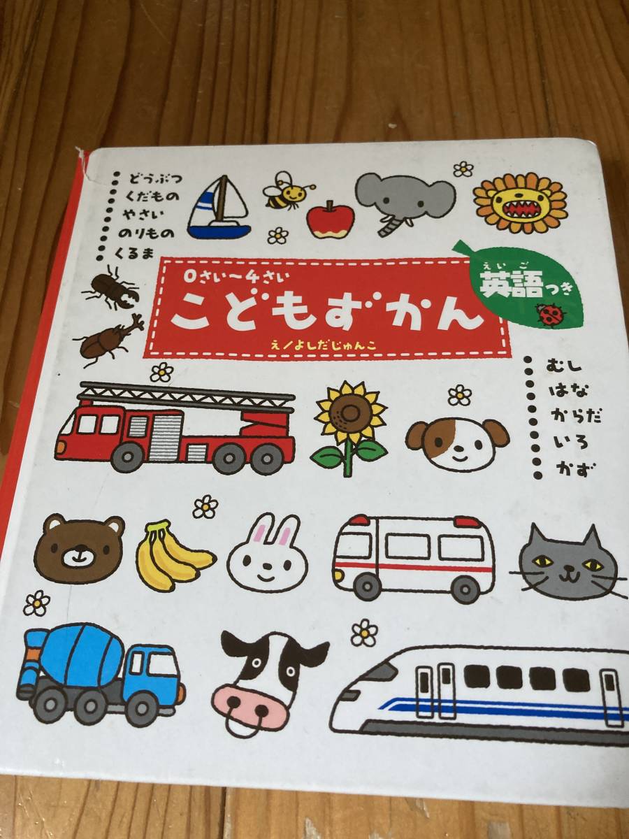 古本　絵本　0さい〜4さい　こどもずかん　英語つき　よしだじゅんこ　え_画像1