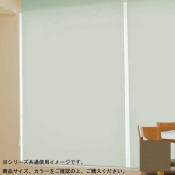 2022年新作 タチカワ ファーステージ ロールスクリーン オフホワイト 幅110×高さ200cm プルコード式 TR-1019 ショコラ ロールスクリーン 2022年新作 タチカワ ファーステージ ロールスクリーン オフホワイト 幅110×高さ200cm プルコード式 TR-1019 ショコラ ロールスクリーン