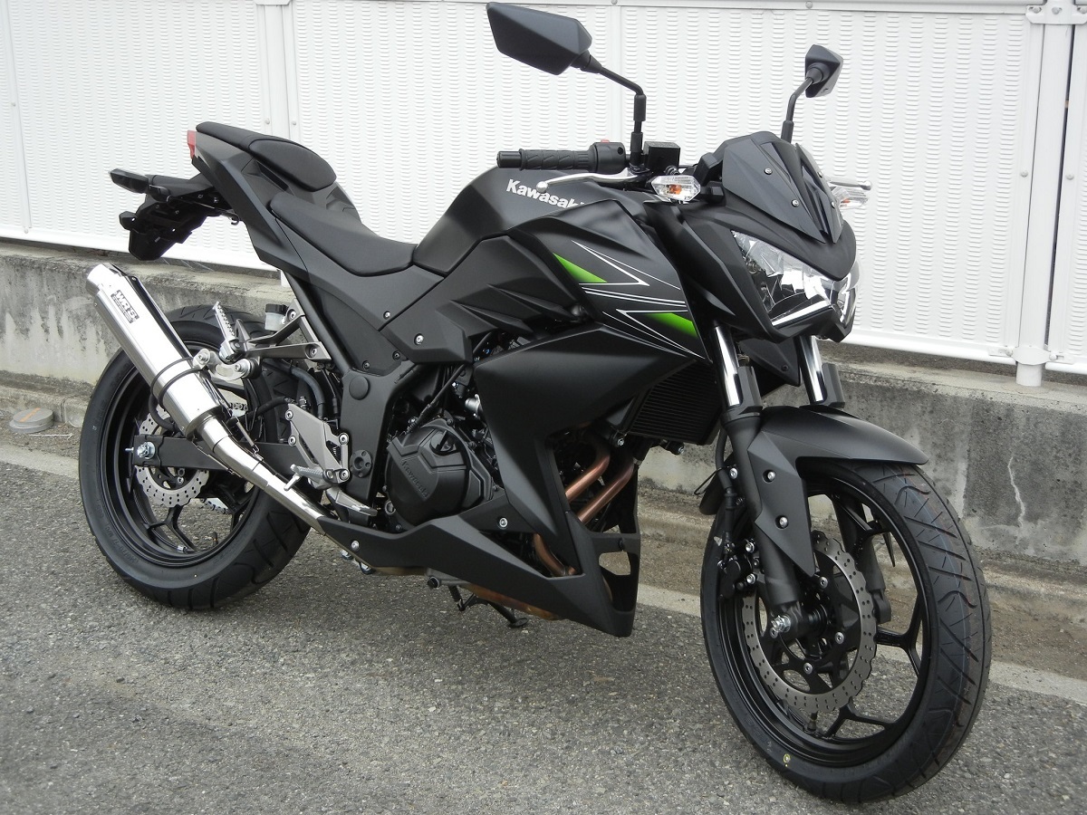 新品 WR’S Z250 ABS 2013 (JBK-ER250C) スリップオン ラウンドタイプ ステンレス/ステンレス BF4250JM ダブルアールズ マフラー_画像2