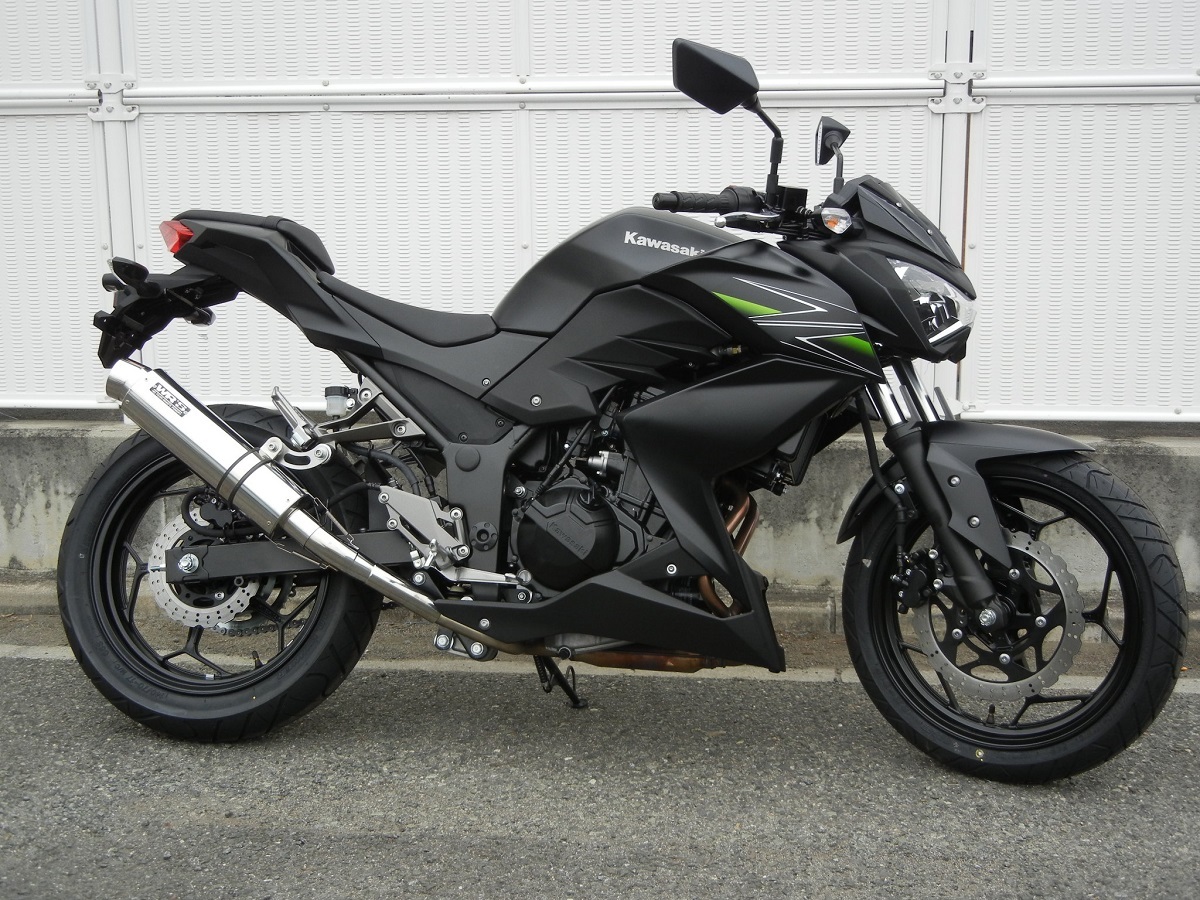 新品 WR’S Z250 ABS 2013 (JBK-ER250C) スリップオン ラウンドタイプ ステンレス/ステンレス BF4250JM ダブルアールズ マフラー_画像1