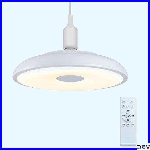 74％以上節約 限定タイムセール 新品送料無料 LED ング キッチン 浴室 廊下 ベランダ 寝室に適していま Bluetoothスピ ペンダントライト 2508 hravaskola.eu hravaskola.eu