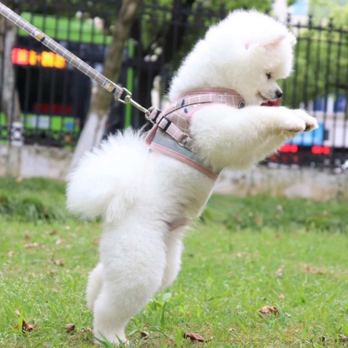 8yzkfnbt3wirim 8yzkfnbt3wirim