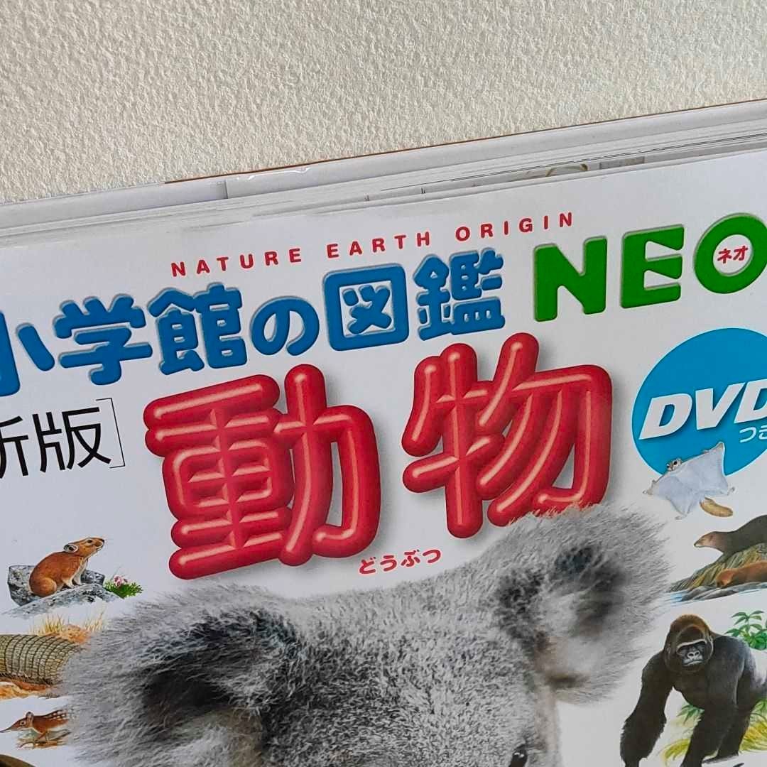 小学館の図鑑　NEO 動物　DVDなし