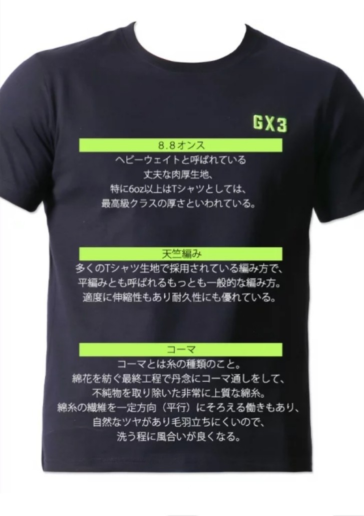 Hanes 古着 90年代 ヘインズ Hanes METALLICA メタリカ MASTER OF