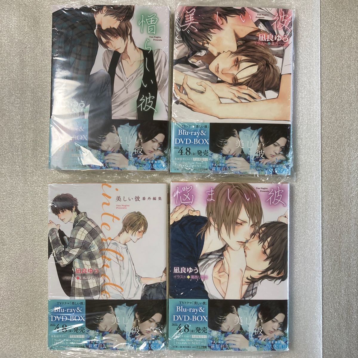 美しい彼 憎らしい彼 悩ましい彼(美しい彼1〜3)番外編/凪良 美しい彼 憎らしい彼 悩ましい彼(美しい彼1〜3)番外編/凪良
