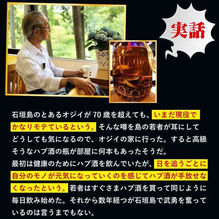 マカ超え! 闘王 ファイターキング 2袋 セット メンズサプリ 亜鉛 妊活