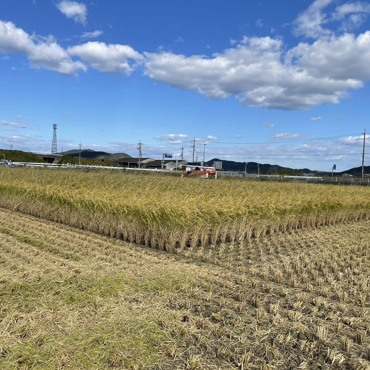 残り数個】令和3年岡山県産「朝日米」玄米 30kg レンゲ緑肥 残り数個】令和3年岡山県産「朝日米」玄米 30kg レンゲ緑肥