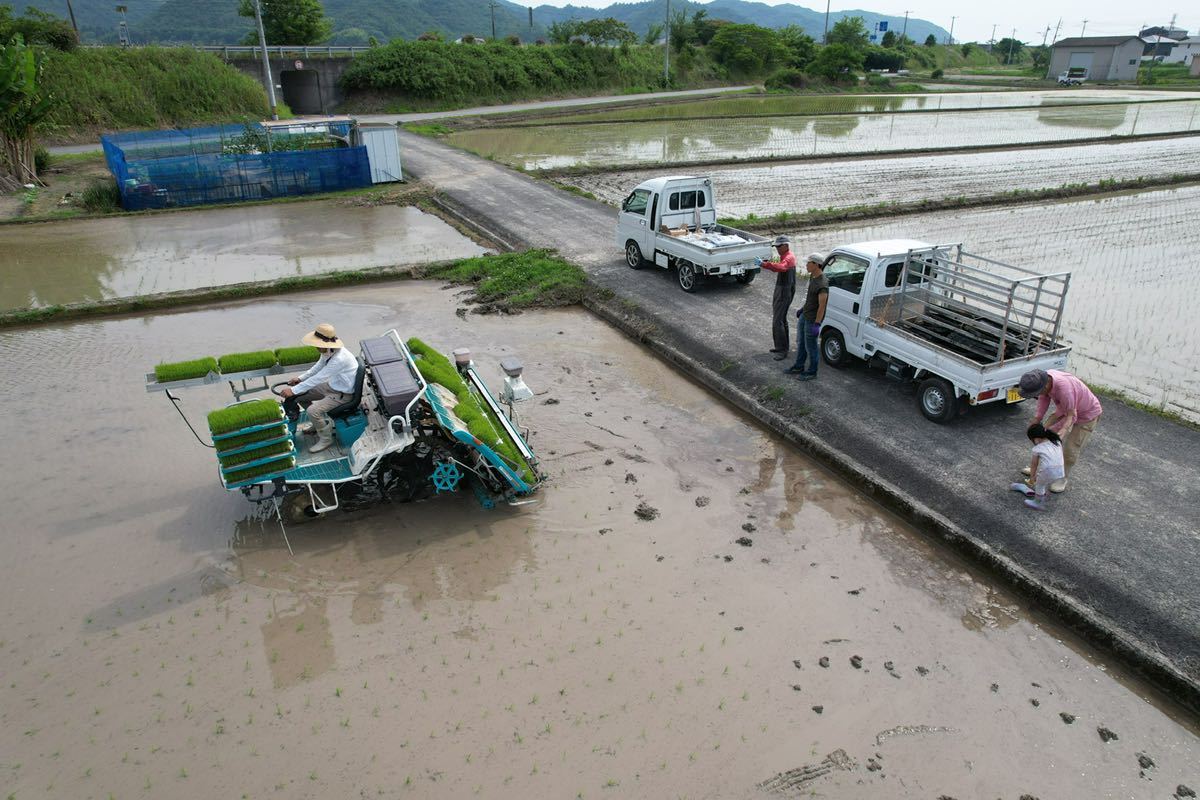 残り数個】令和3年岡山県産「朝日米」玄米 30kg レンゲ緑肥 残り数個】令和3年岡山県産「朝日米」玄米 30kg レンゲ緑肥